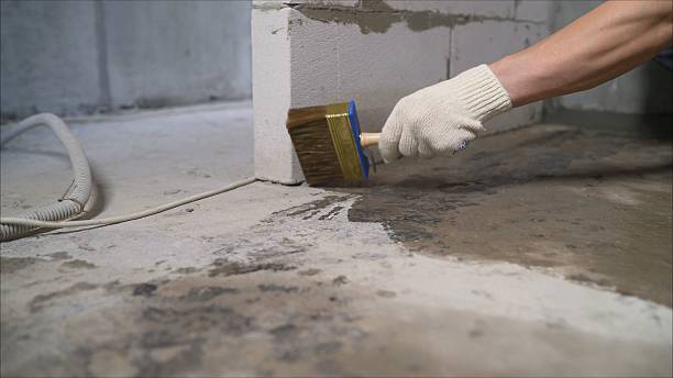 Top rated local Wet Basement Repair specialists in Fountain, MI